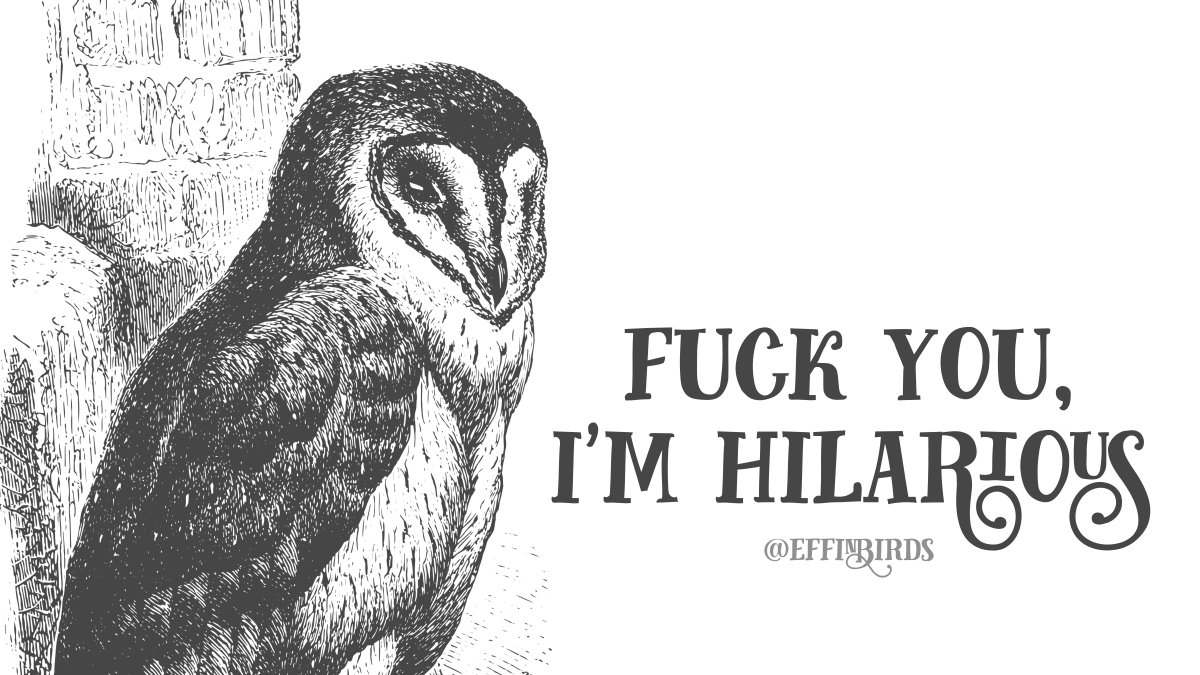 EffinBirds's tweet photo. https://t.co/Y6iRcRsI4v