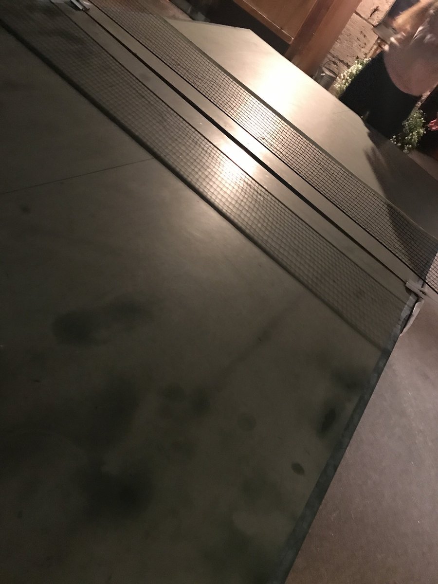 cindy9m's tweet photo. pingpong by night 🏓 #scap2 https://t.co/ytvDvk1Wzq