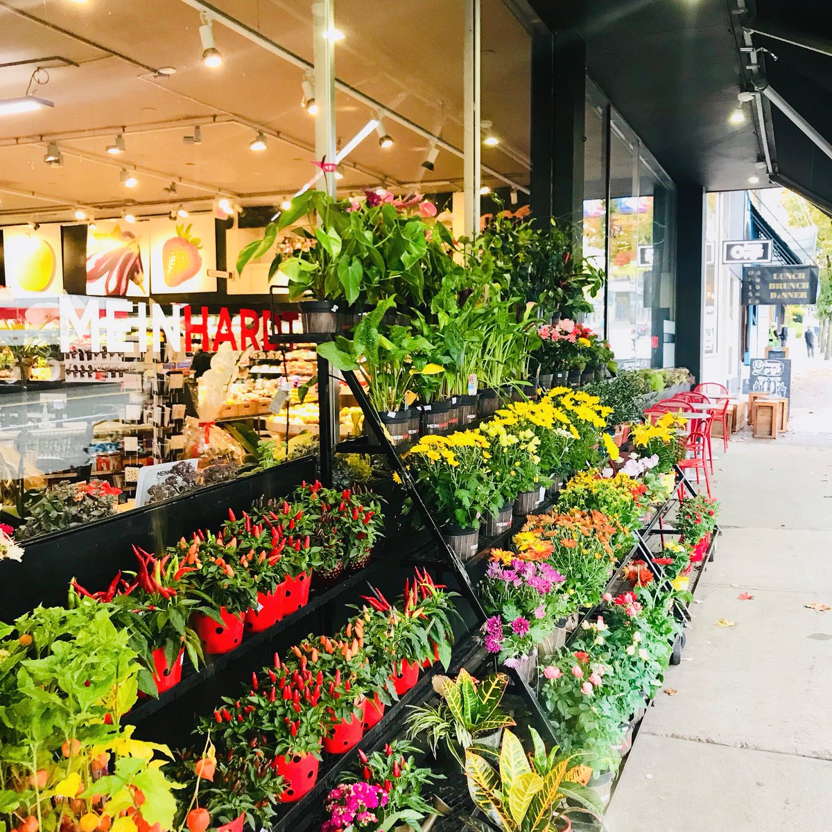 Bone Broth Vancouver tweet media