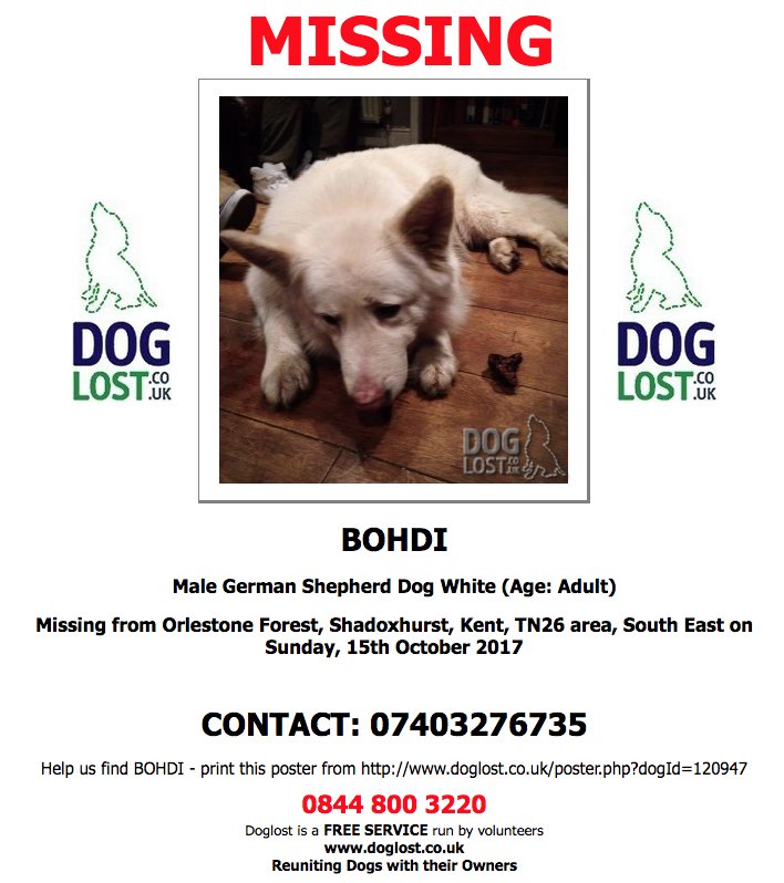 DogLostUK's tweet photo. #LOST BOHDI
Male #GermanShepherd #Dog #OrlestoneForest #Shadoxhurst #TN26 #Lostdog #ScanMe https://t.co/gN7c98HSzB https://t.co/TfCEZpoZhu