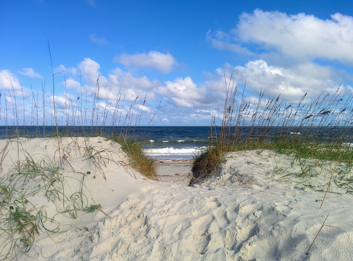 allimerritt's tweet photo. Salt air does a body good. #ameliaisland #beachlife https://t.co/Ag6hkOAXFj