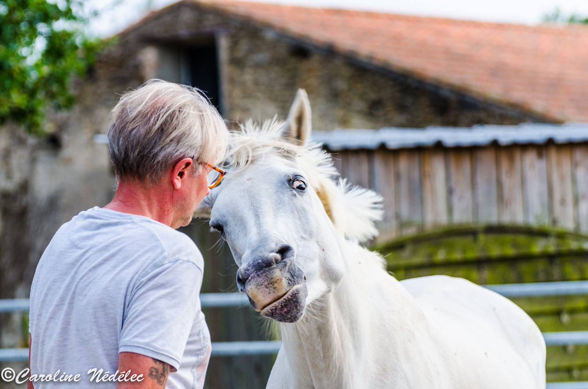 CaroNedelec's tweet photo. Dis moi ce que tu penses je te dirais qui tu es... 
#coach #coaching  #mirror  #whoyouare #horse #cheval #shooting #photo #photography https://t.co/bvQ7OXz72L