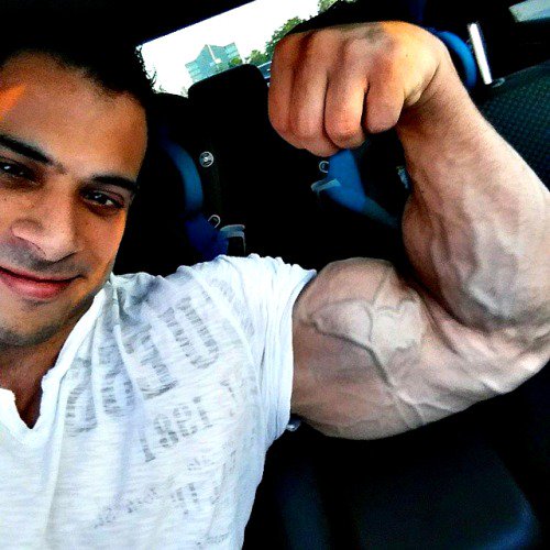pacocutler's tweet photo. #MahmoudAlDurrah #egyptianHunk #egyptianBodybuilder #arabHunk #handsome #biceps #veins #rawHunk https://t.co/r3eweu3hWm