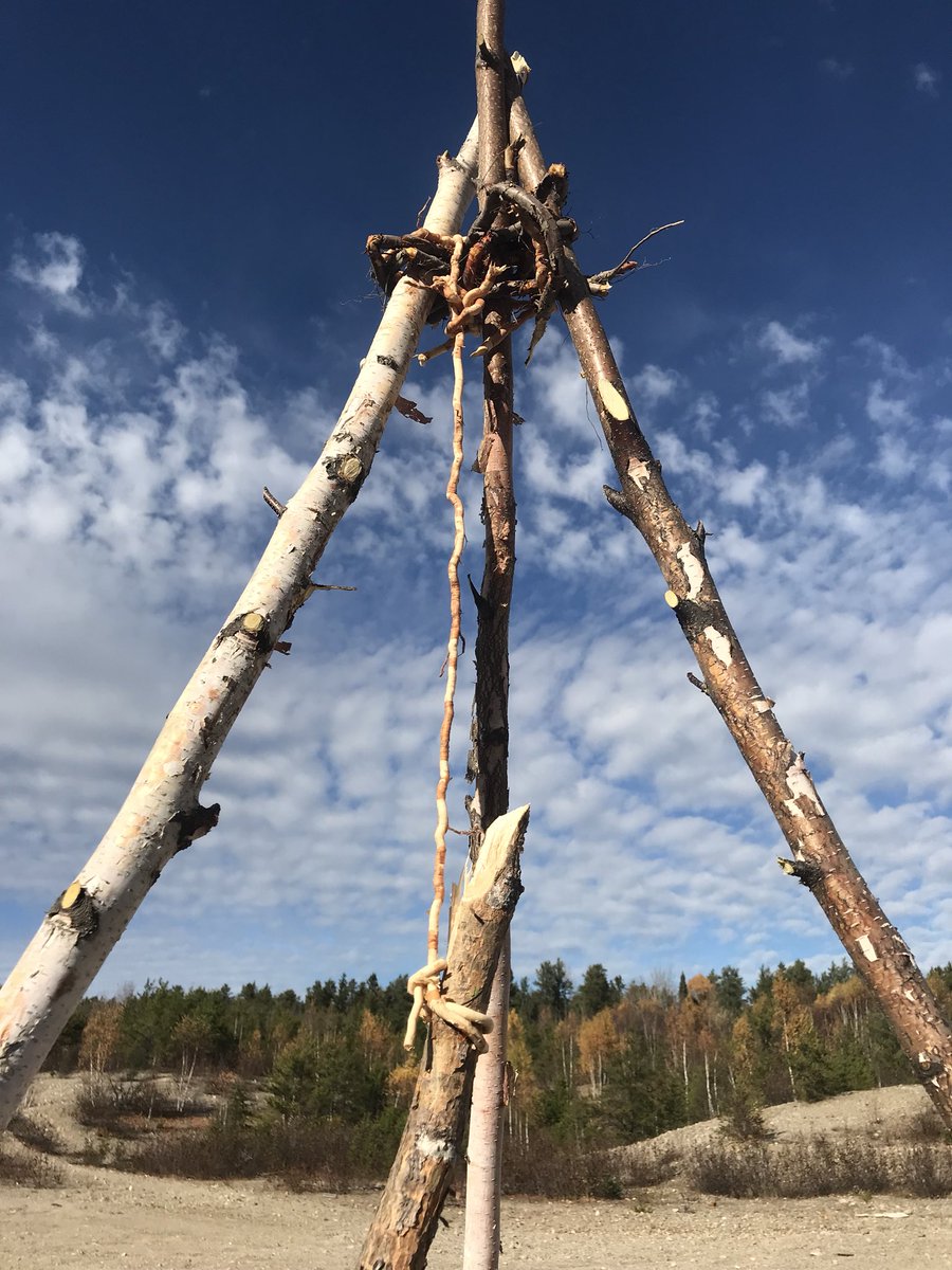 OPP_Indigenous's tweet photo. Gathering fire bundles... breaking through challenges and enjoying the fruit of their labour #ProjectSunset #futureleaders @projectsunsetca https://t.co/iPwc6o73Ai
