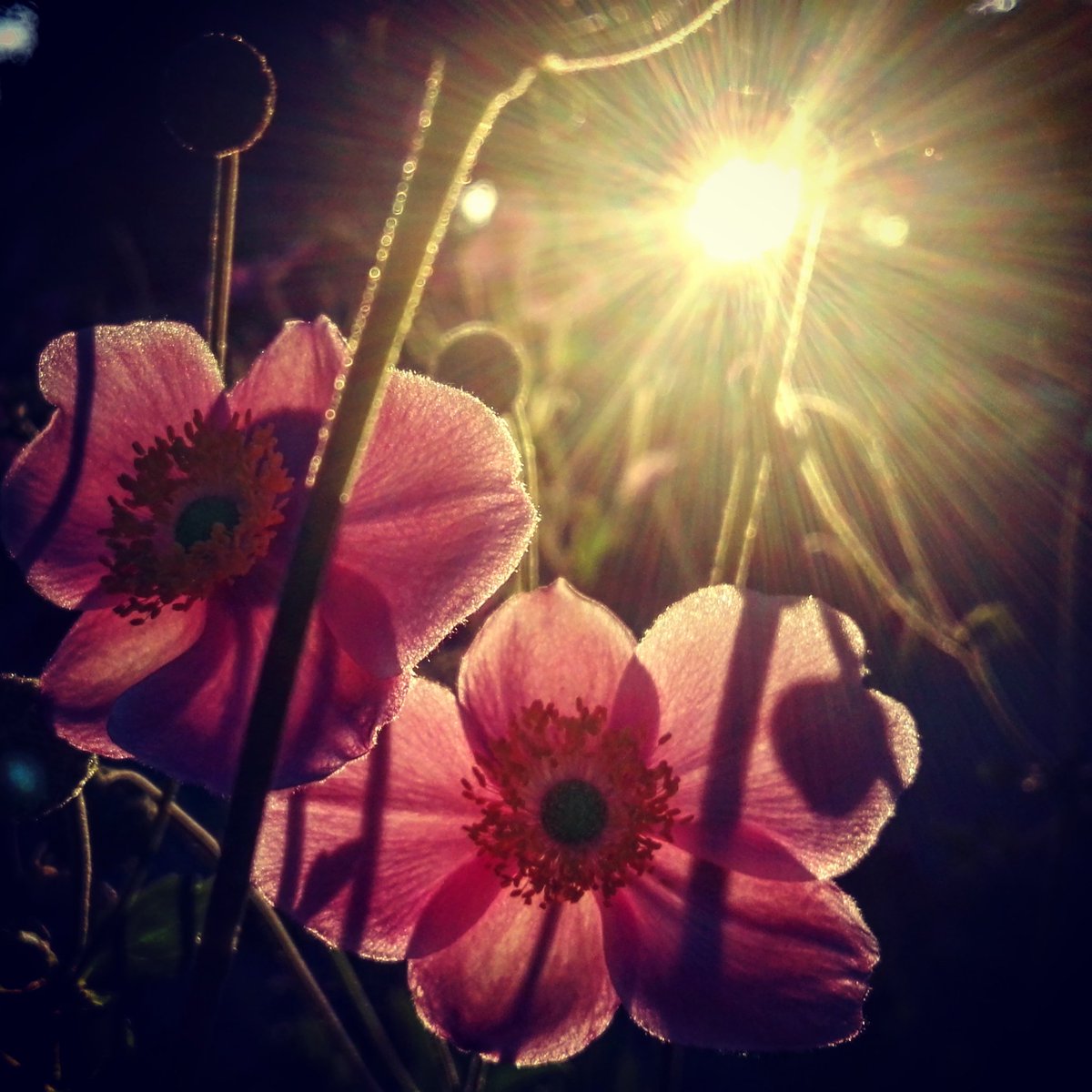 Ihr Lieben ich verabschiede mich mal für ein paar Tage, Wochen...
Bis Bald.