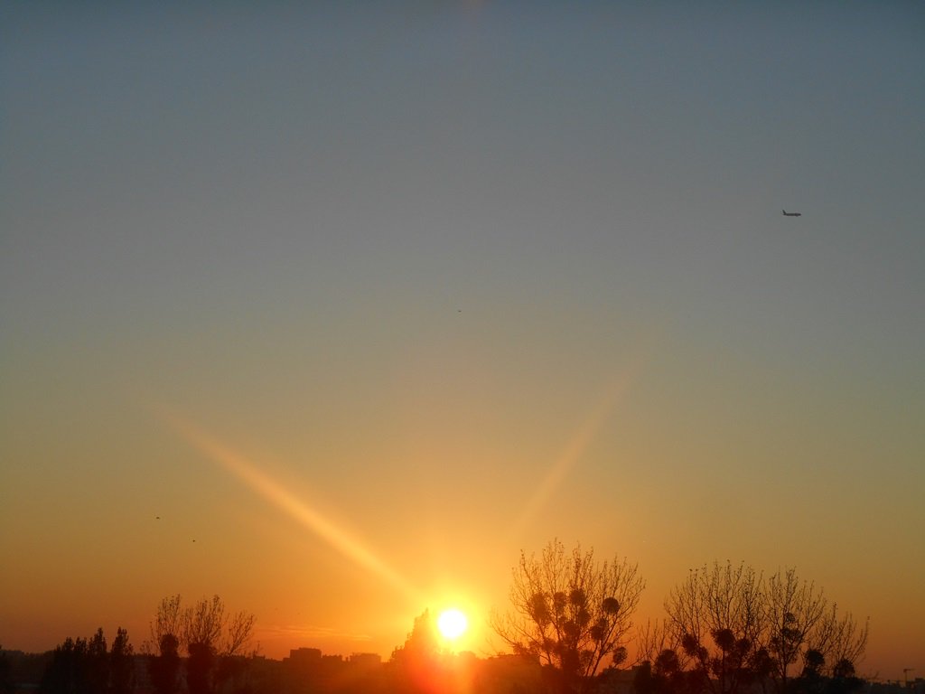 ao64pl's tweet photo. Wkrótce skończy się ta zabawa, ale póki trwa... I tak je zawsze słyszę

#LO23 #LO26 #LO3 https://t.co/QfgFEPurCq