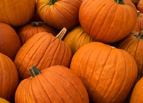 Forget pumpkin spice lattes -- use this popular fall gourd to create a DIY moisturizing facial instead ➝ owl.li/u9Ua30fRqXO