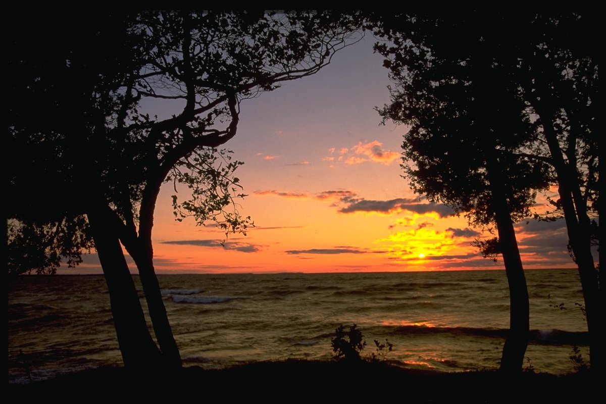 SandbanksPP's tweet photo. Our Twitter account is hibernating until springtime. 

Thanks to all staff and visitors for a wonderful 2017! https://t.co/Dorlwv3piy