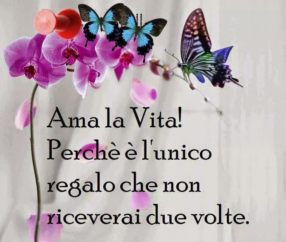 Laura_Dolfini85's tweet photo. Dolce notte ✨✨✨ https://t.co/MZuiTaTqLg
