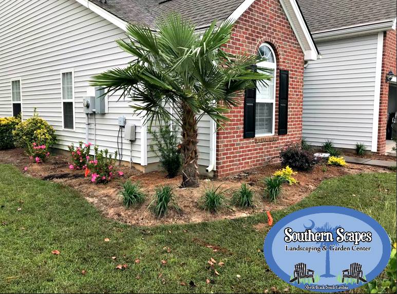 SouthrnScapes's tweet photo. 7' Windmill Palms frame the corners of this customer's home perfectly!
#PalmTrees #Landscaping #MyrtleBeach #ShopLocal https://t.co/2QQB6Xn7pG