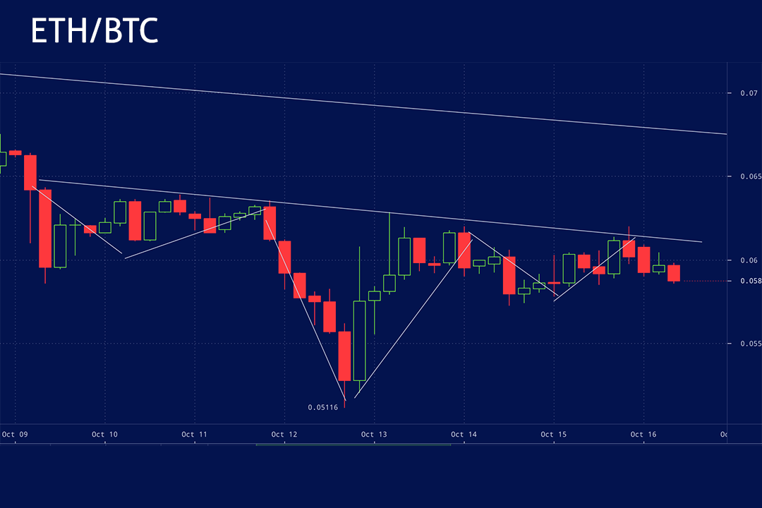 Tuur Demeester tweet media