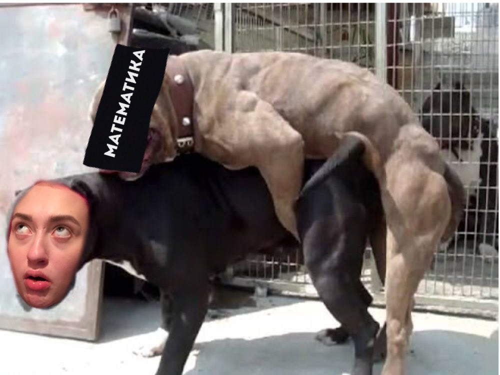 Big Dog Little Dog - YouTube