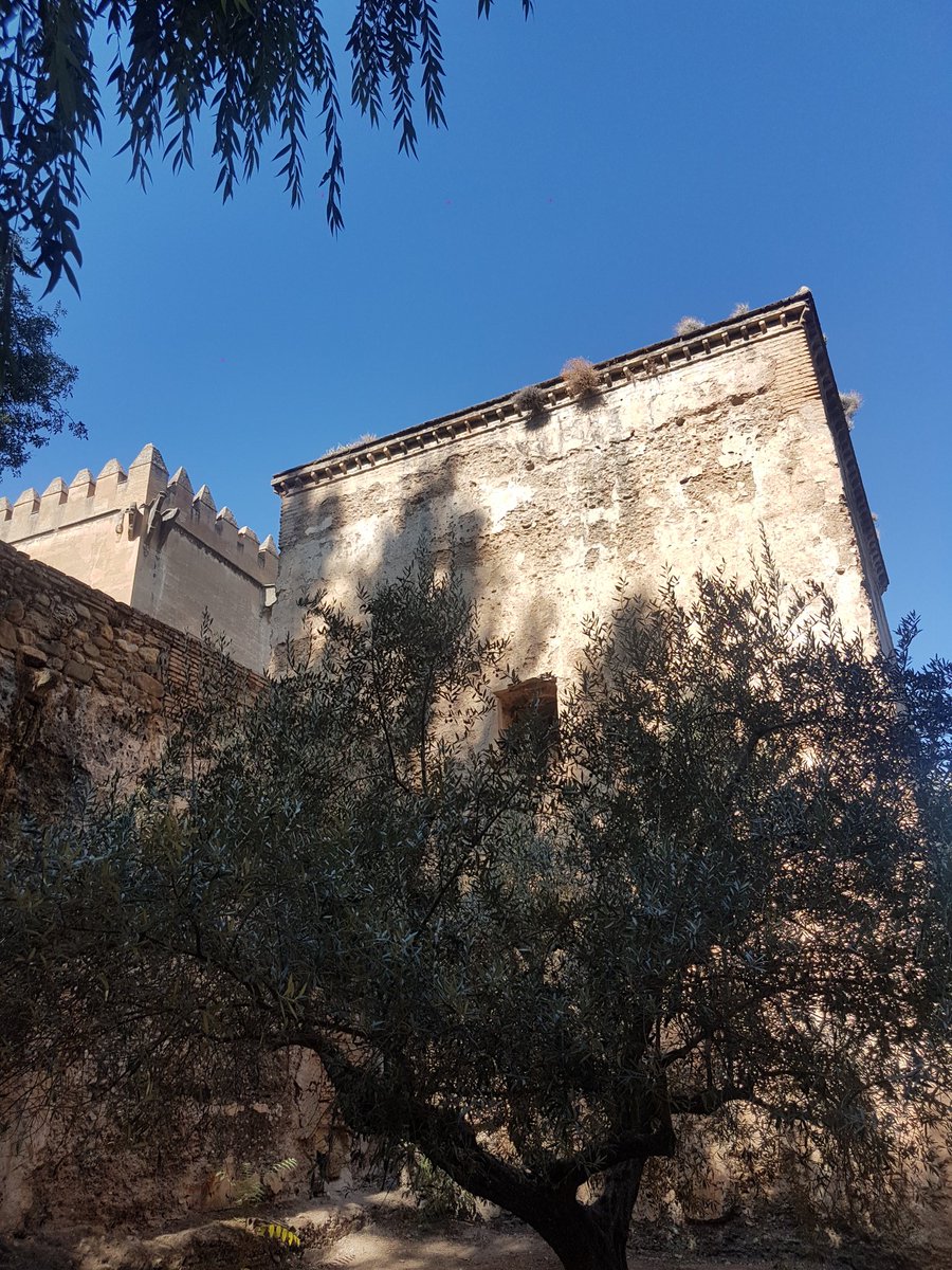 ViajesIsis's tweet photo. La Alhambra España https://t.co/7V5JnOtiGw