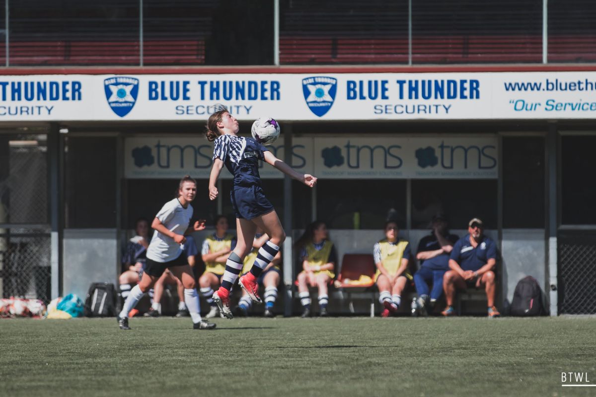 nplwvictoria's tweet photo. Last gallery of 2017! @RachelBBach 📸 ByTheWhiteLine was at the Bass Strait Cup 👉 https://t.co/xQXNqosTjo https://t.co/wL99zloyR2