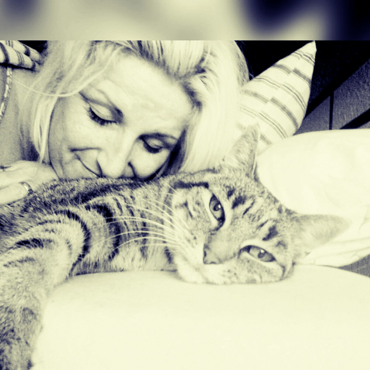 AniyaCiel's tweet photo. My biggest #love 💟 my #kitty 
#LoveYou #artistsontwitter #artistsoninstagram #artist #artisticbreak https://t.co/LMLaJEgf4n