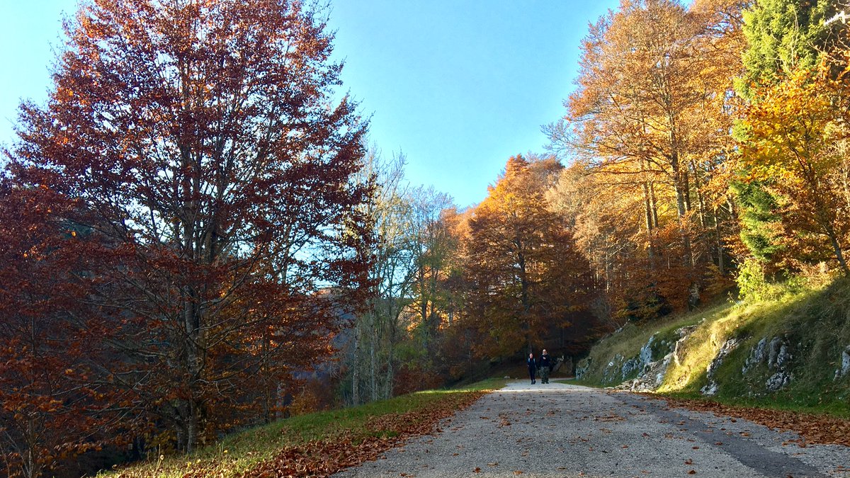 Venetissimo's tweet photo. Un estratto dell’uscita fotografica sul #Cansiglio e il monte #Pizzoc (TV), in compagnia degli amici di @Venetissimo.
Foto @FabioMalamocco https://t.co/2ATMJGKSwa