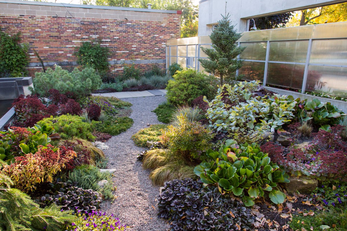 PhillipsGarden's tweet photo. It's that magical time of year when the fall colors and the annual plants co-exist -- hopefully we'll get one more week of this beauty. https://t.co/qbbbgEZm9x