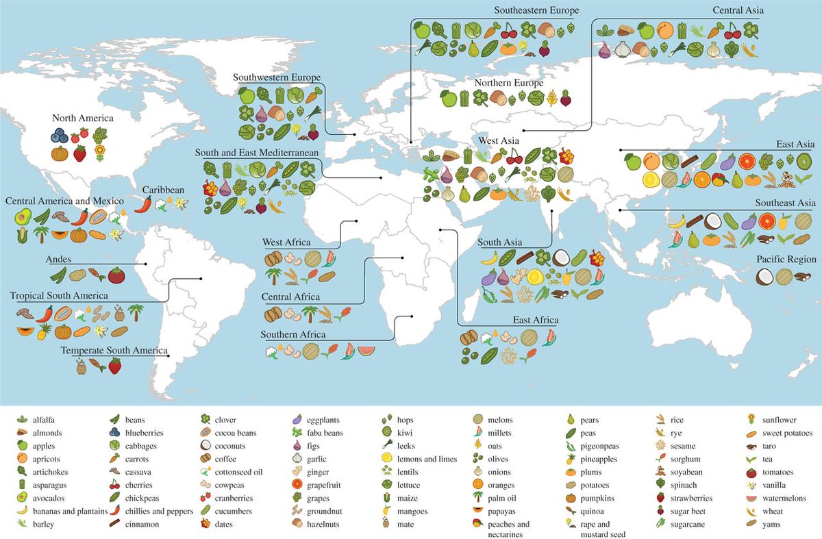 royalsociety's tweet photo. The surprising geographical origins for some of our favourite food crops #WorldFoodDay https://t.co/bMHngAsAG2 https://t.co/eNFEN5mWZv