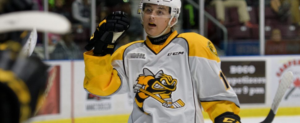 .@Stinghockey forward @BradyHinz is the @OHLHockey player of the week. blackburnnews.com/sarnia/sarnia-… https://t.co/MCBl2QJOQD