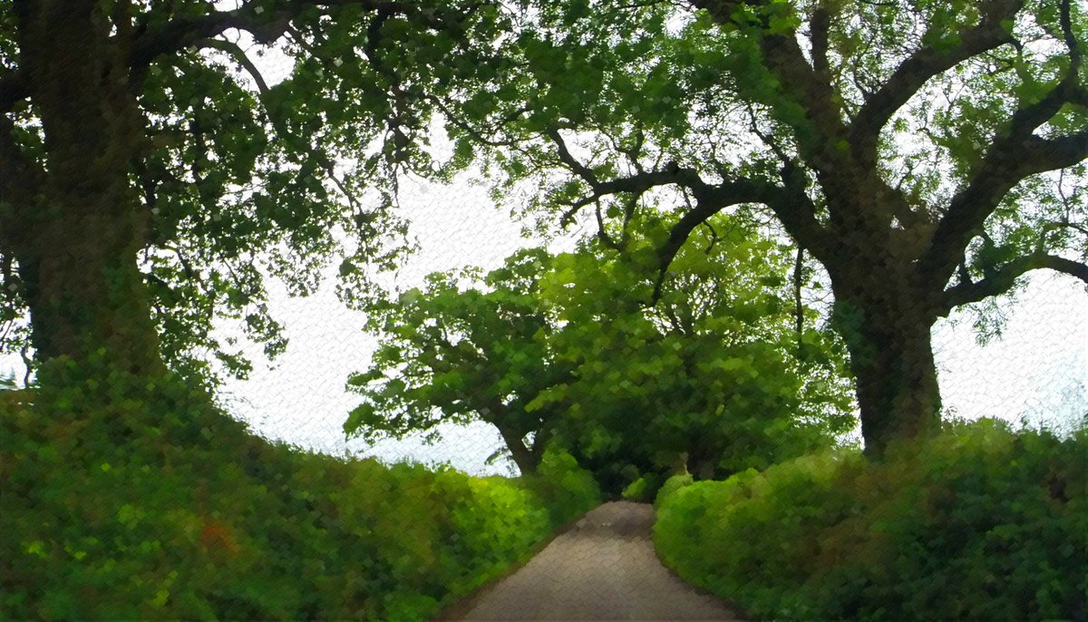 DevonCreamTease's tweet photo. Memories of #EastBuckland &amp; #WestBuckland summer #DevonLanes https://t.co/pRwcBSNzV9 #DigitalArt @Devon_Hour @PhoenixDevon13 @GreatDevonDays https://t.co/38USw36b4m