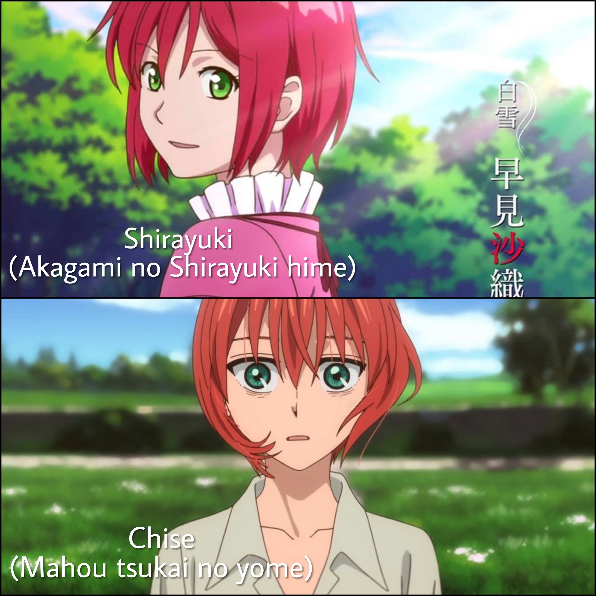 personagens parecidos dos animes on X: Chise Hatori (Mahou Tsukai no Yome) Shirayuki (Akagami No Shirayuki-hime) Sugestão por @reoneechan / X