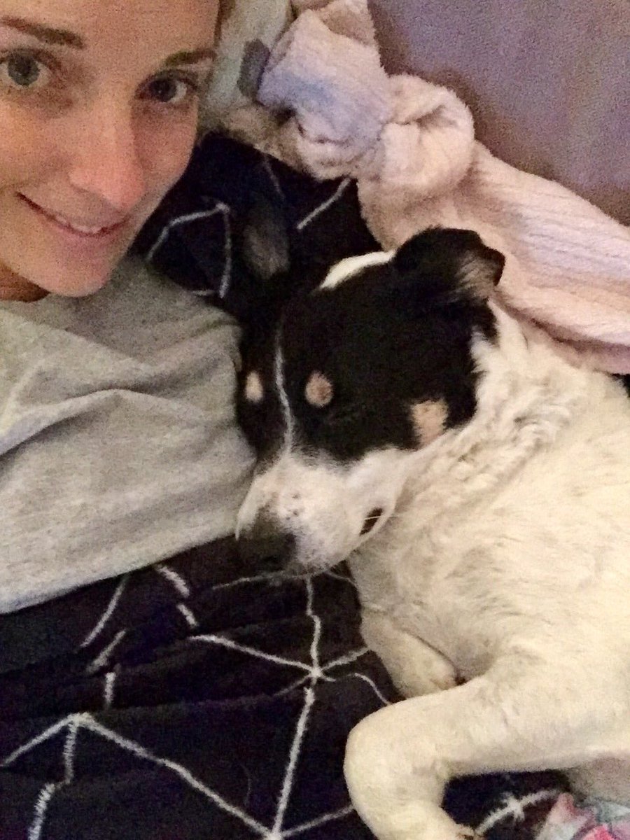 CazFroggatt's tweet photo. What better way to hide from a storm, snuggled up on the sofa with this lil fella #ItsADogsLife #SnuggleBuddy ❤️ https://t.co/pQNPSxL4R4