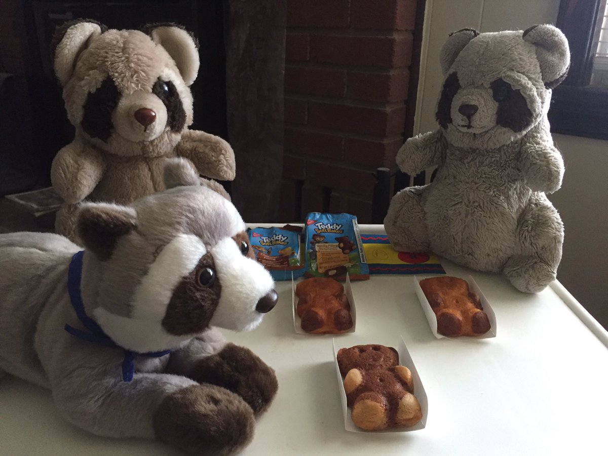 Mapache_444's tweet photo. Leland, Elvis & I sharing some Teddy cookies 🍪☺️#teatimewithfriends https://t.co/UZ85KmwZp2