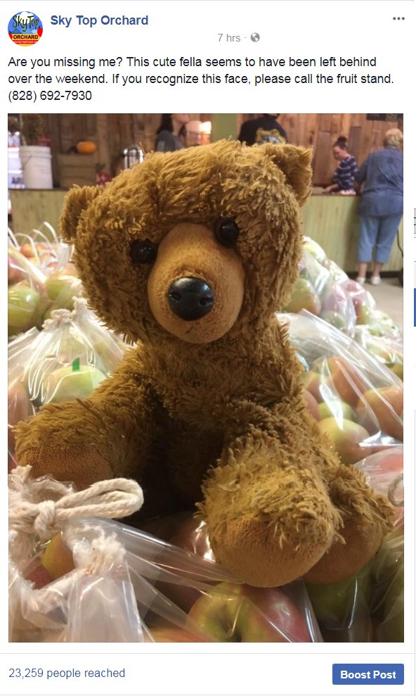 VisitFlatRock's tweet photo. Someone left a well-loved bear at @skytoporchard over the wkend. 23k ppl are trying to find its home. #FeelGoodStory https://t.co/EtbjikA0mi https://t.co/kyTQDCGemc