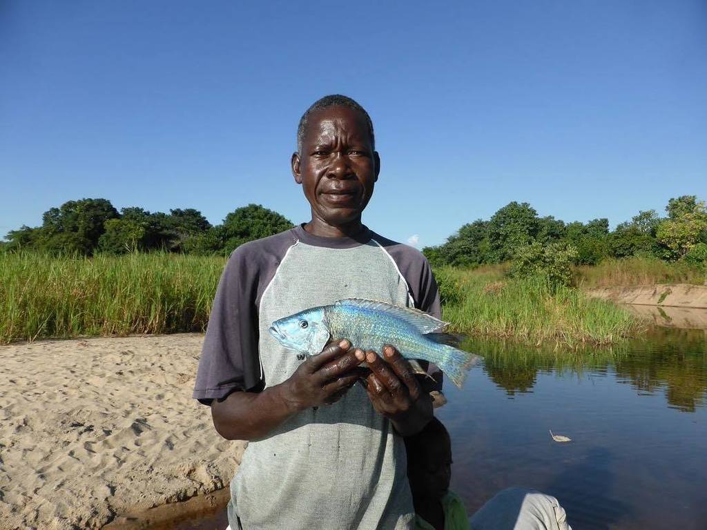 goodlittlecomp's tweet photo. Did you know that our charity partner RIPPLE Africa work with local fishermen and communities through 49 Fish Cons… https://t.co/UtWNkzJ55F https://t.co/BtodSnYdlD