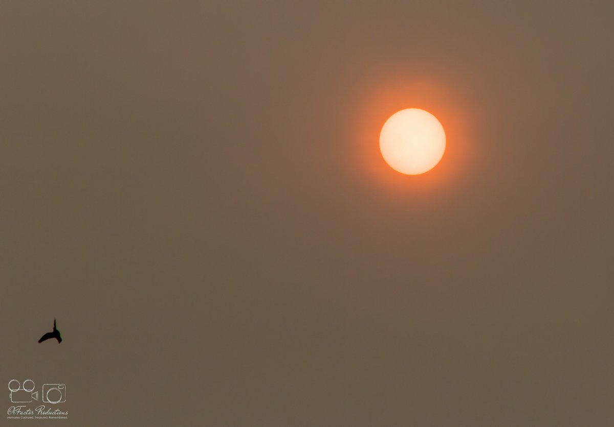 OrFactorPro's tweet image. What an incredible midday sun here in Redditch!

Did you have chance to spot it?