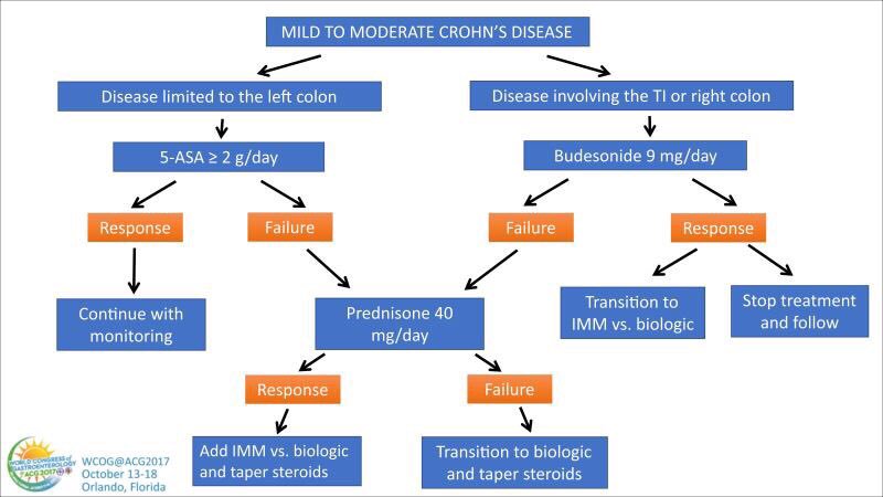 Dana_Lukin's tweet photo. Lisa Malter @IBD_REMEDY algorithm for mild to moderate #Crohns https://t.co/oZu1BX6dYB  #WCOGatACG2017 https://t.co/bZnRj9AmVz