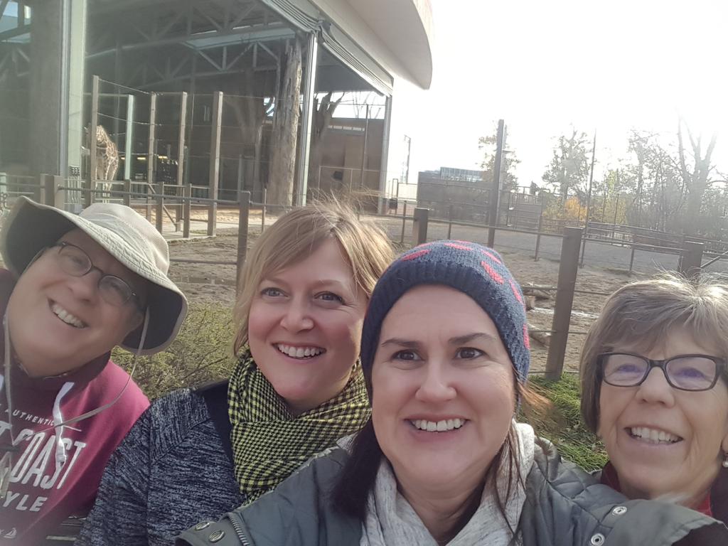 funkyfunfours's tweet photo. Team Longnecks #yyczooteambuilder https://t.co/tzYkEzQ8aH