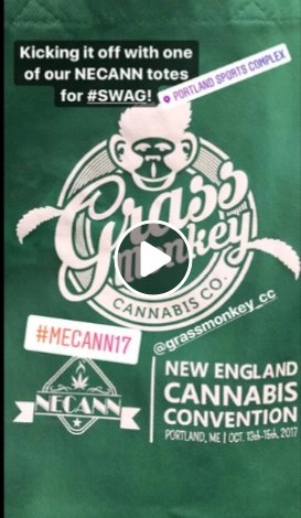 NE_CANN's tweet photo. ICYMI: Here's the @instagram story from Day 1 of #MECANN17 --> https://t.co/3UKcFedC1q
#RICANN17 is in two weeks! https://t.co/qUtEOxpknJ https://t.co/VjCtsIbIJ6