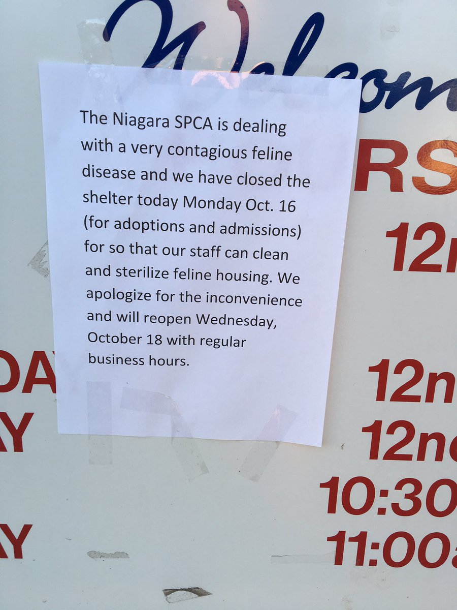 Jeffslawson's tweet photo. This is on the gate of the Niagara SPCA. No one allowed in while they clean due to the cats found dead today @WKBW https://t.co/bs9IeBzrLd