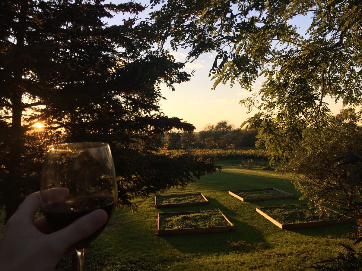 FadedFilter tweet media