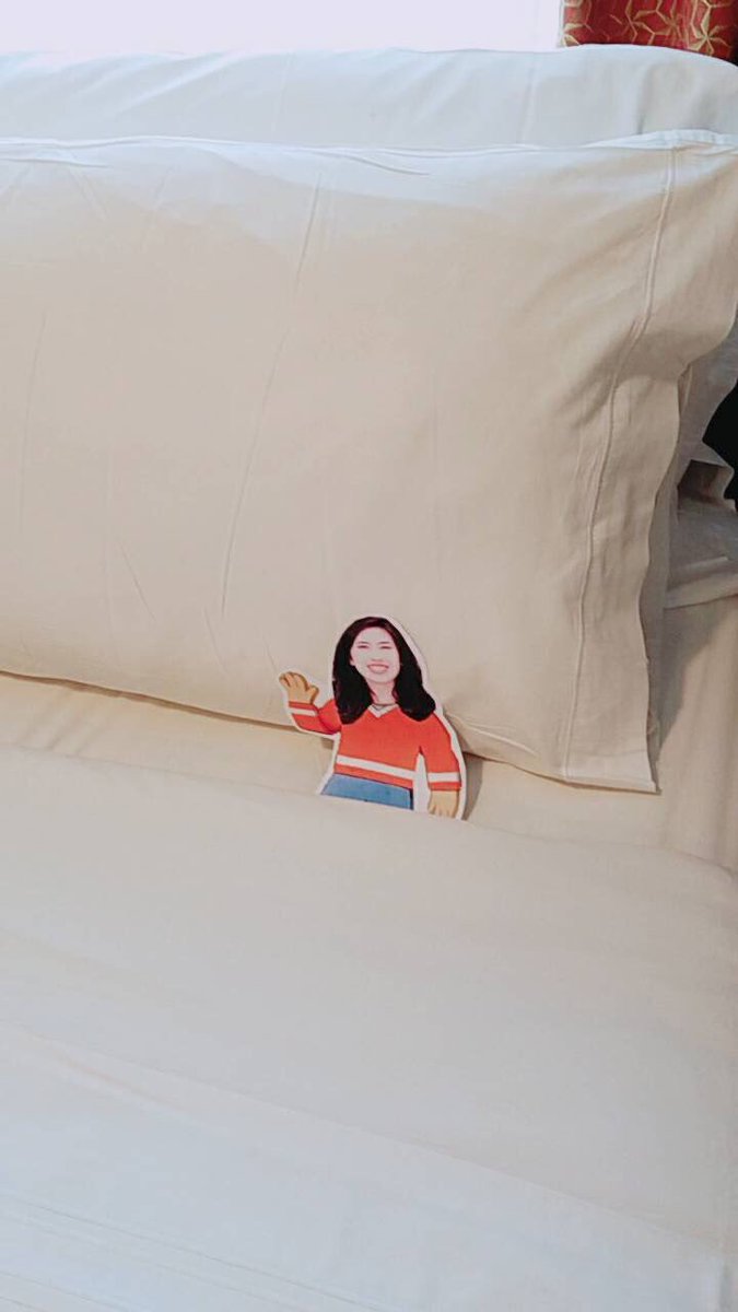 jenternullo's tweet photo. my parents felt guilty for going on a cruise without me so they printed out a mini-me to bring with them 😂 https://t.co/NaPMpEzLQd