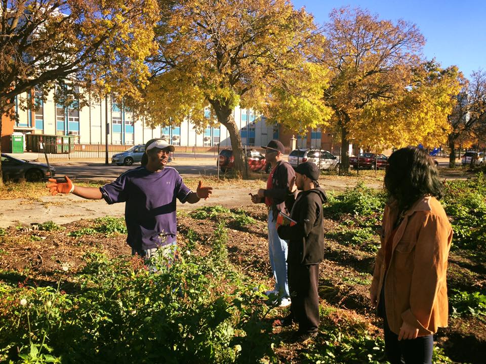 AUAChicago's tweet photo. This Sunday - help your #urbanag community thru volunteering with AUA & @SlowFoodChicago! Harvest #cropmob details: https://t.co/Dlf4r1AMy3 https://t.co/dY5b61kXBP