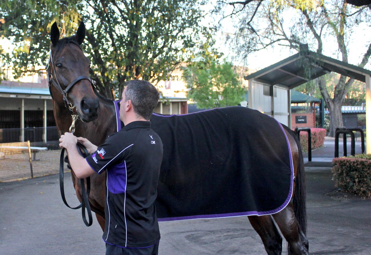 Look who popped into <a href="/TheValley/">Moonee Valley Racing Club</a> for a morning stroll #Winx3 Ⓜ️