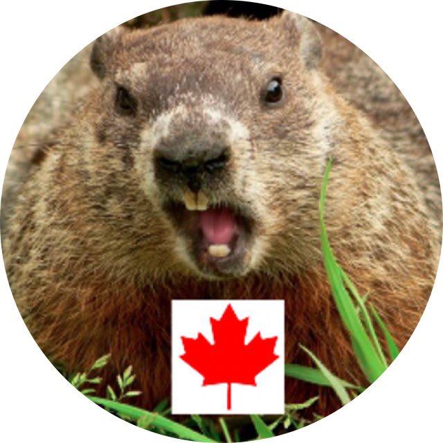 CanadianChuck's tweet photo. @jcalder1983 I guess I'm in trouble - I'm a fake account that is Canadian! 

@sf28430 @JenSchweigert @jcalder1983 https://t.co/RSJNpHiIqP