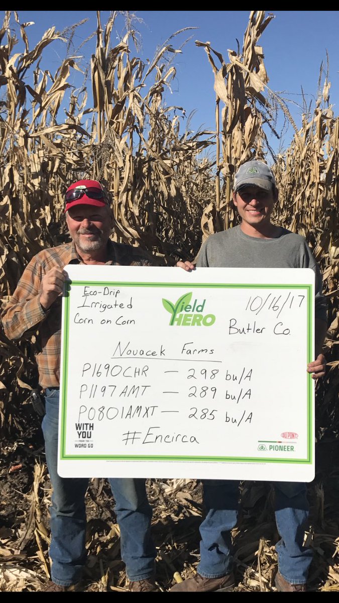 Enicirca Services showings off some big yields in a plot today!!!#encircaN+Stand+Fertility @EncircaServices @PioneerNebr