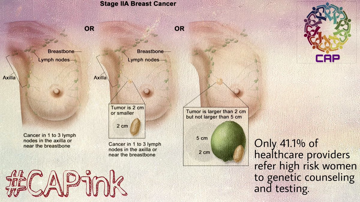 cancerapk's tweet photo. The power to prevent cancer is in your hands.. #capink #breastcancerawareness #spreadtheword @soluhealth_wellness_nutrition #Soluhealth https://t.co/7pdwjAJmTp