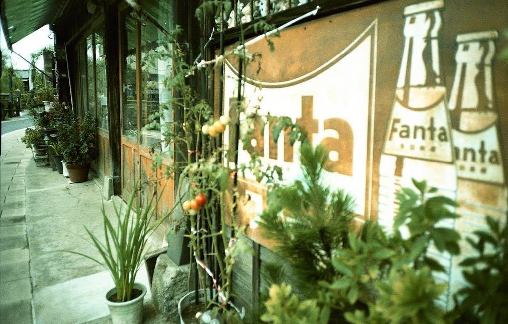 moooochy_k's tweet photo. .
＊ふぁんた
.
.
NikonAF600 PROVIA100F cross process
.
#ig_film #film_jp #instafilm #istillshootfilm #ishootfilm #filml… https://t.co/CLdYG0CEx3 https://t.co/EsV1vSyRAu