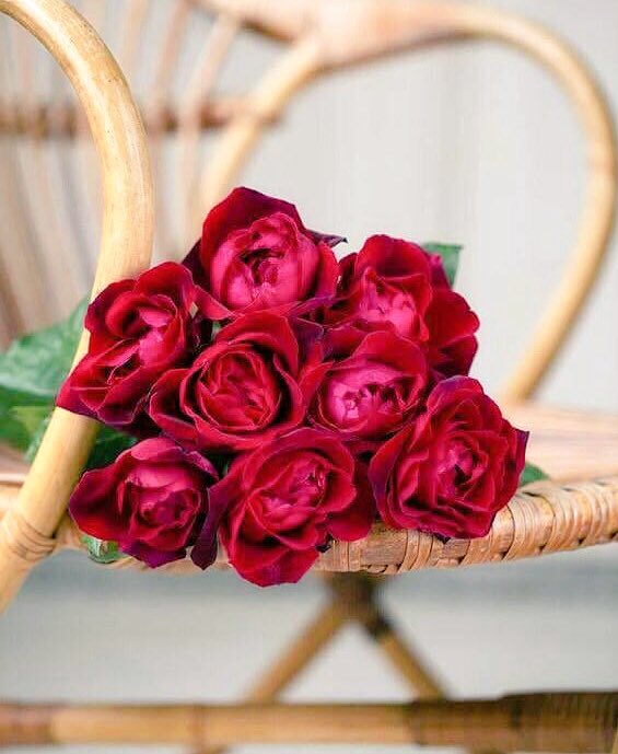 Lahn_F's tweet photo. صباح الخير للحياة...للنوايا الطيبة 
للأبتسامات الصادقة..صباح المحبة 
لكل من يحمل المشاعر الجميلة 
لكل من حوله
صبــــــاح الخــــير 🍃⚘🍃 https://t.co/EyRQf90r9P