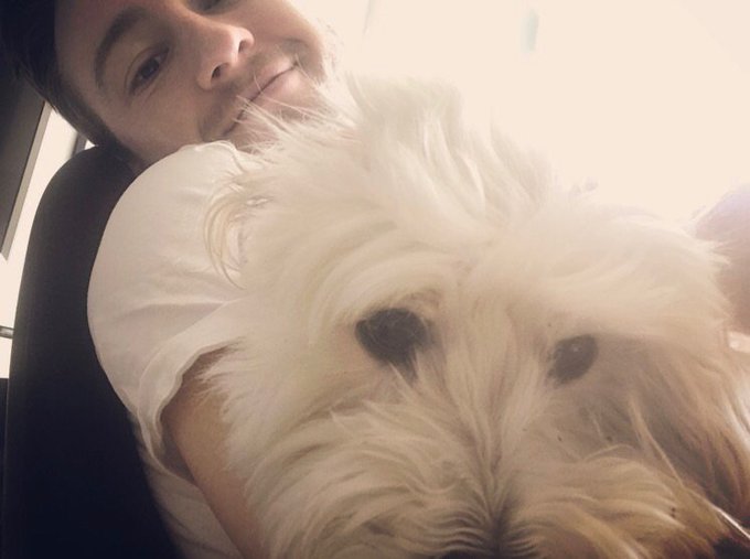 I challenge you to name one thing better than cuddling animals ☺️ . . #louis #moodle #god #imean #dog<a href="/tag/dog"class="tags"><span>#dog</span></a><a href="/tag/god"class="tags"><span>#god</span></a><a href="/tag/louis"class="tags"><span>#louis</span></a><a href="/tag/imean"class="tags"><span>#imean</span></a><a href="/tag/moodle"class="tags"><span>#moodle</span></a>