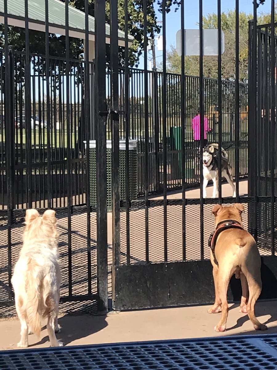 hashtagshana's tweet photo. We made friends and had too much fun. #MondaysDontHaveToSuck #KingLinus #AstiGirl https://t.co/AThQwJE5Vu
