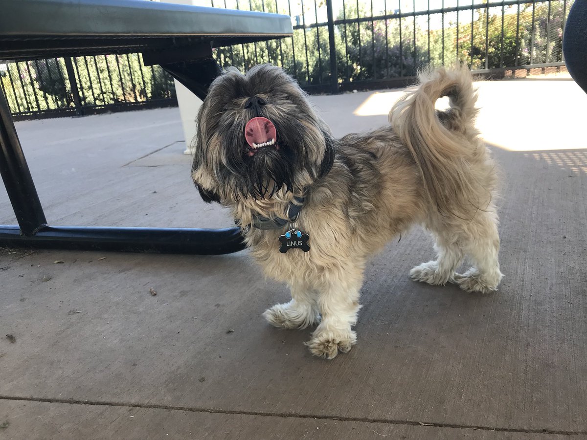 hashtagshana's tweet photo. We made friends and had too much fun. #MondaysDontHaveToSuck #KingLinus #AstiGirl https://t.co/AThQwJE5Vu