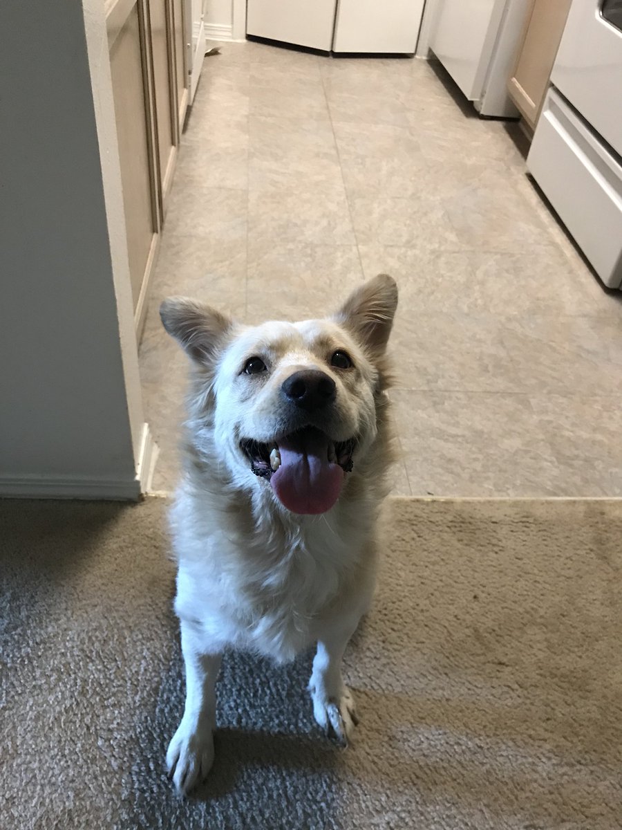 hashtagshana's tweet photo. We made friends and had too much fun. #MondaysDontHaveToSuck #KingLinus #AstiGirl https://t.co/AThQwJE5Vu