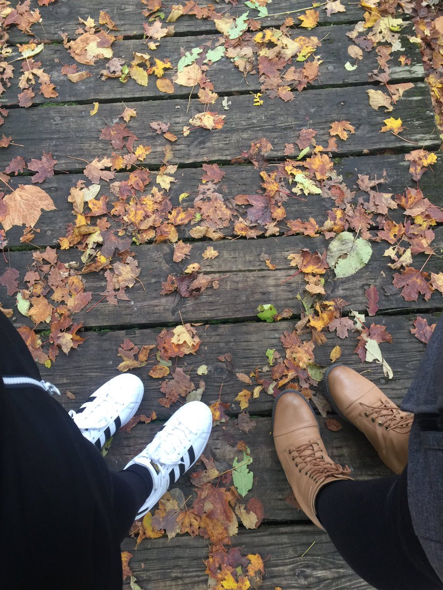 ising097's tweet photo. Fun day in @GatineauPark today with my bestie @KingaS82 🍂 #Basic #PhoneFails https://t.co/zyXfRXkRYy