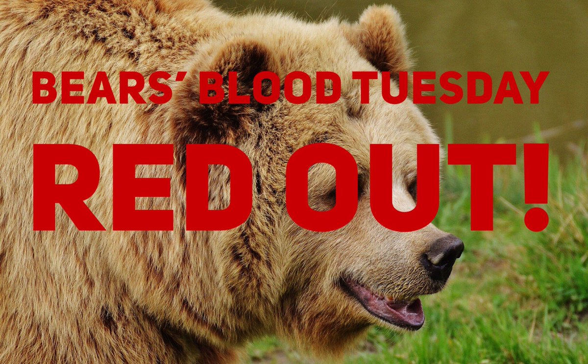 Sandia High School tweet media