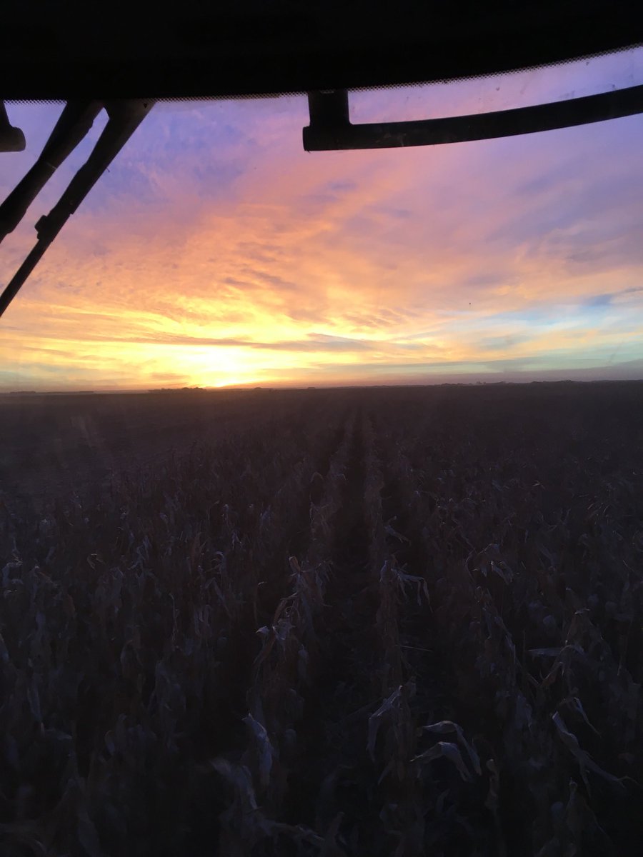 russellgrains's tweet photo. Pretty prairie sunset sky tonight #harvest17 https://t.co/iuvEEUqxyv